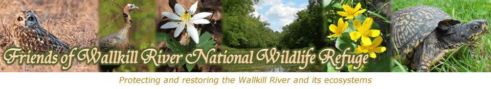 Friends of Wallkill River National Wildlife Refuge